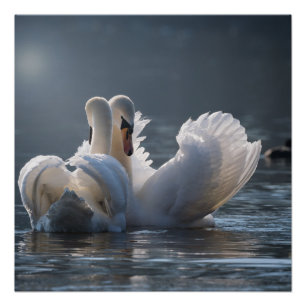 Liebe Metal Art Online Glossar Poster