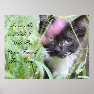 Liebe Mich Kitten Poster
