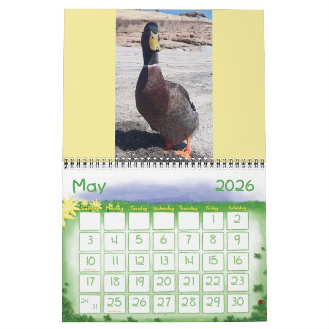 Liebe mir einige Nibbles 2019 Kalender (Mai 2026)