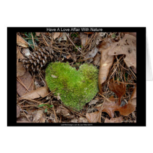 Liebe mit Nature Moss Herzgeschenken