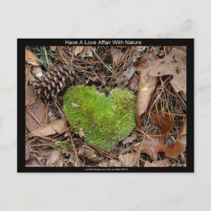 Liebe mit Nature Moss Herzgeschenken Postkarte
