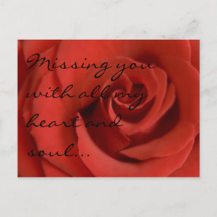 Liebe mit Rose Postkarte