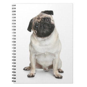 Liebe Mops Welpe Hund Weiß Notizbuch / Tagebuch