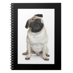 Liebe Mops Welpen-Dock-White-Notebook / Journal Notizblock