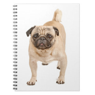 Liebe Mops Welpen-DockingNotebook / Journal Notizblock