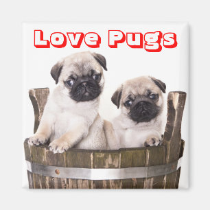 Liebe Mops Welpen Hunde in Holzfass Magnet