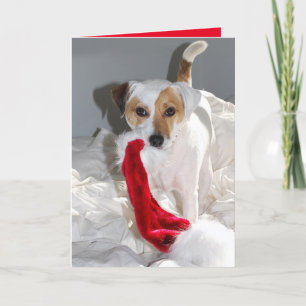 Liebe Mrs Claus JRT Weihnachtskarte Feiertagskarte