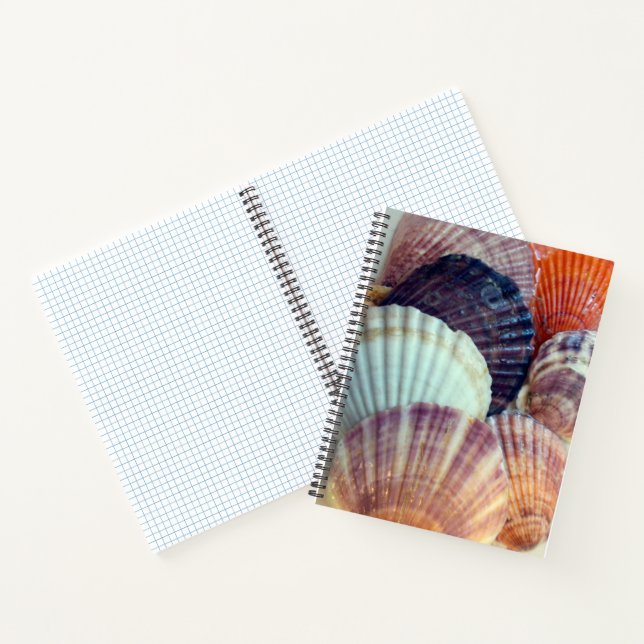 Liebe Muscheln SpiralNotebook Notizbuch (Innenseite)