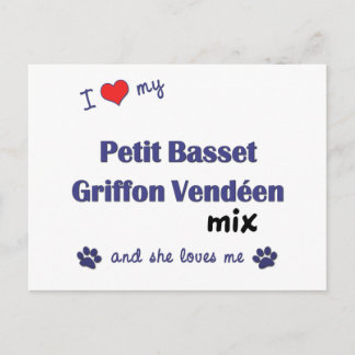 Liebe My Petit Basset Griffon Vendeen Mix (weiblic Postkarte