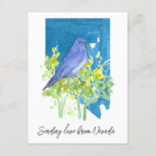 Liebe Nevada Bluebird Sagebrush Postkarte