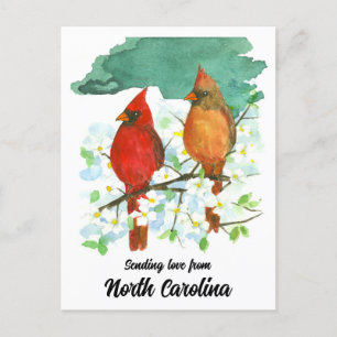Liebe North Carolina Kardinals Dogwood Postkarte