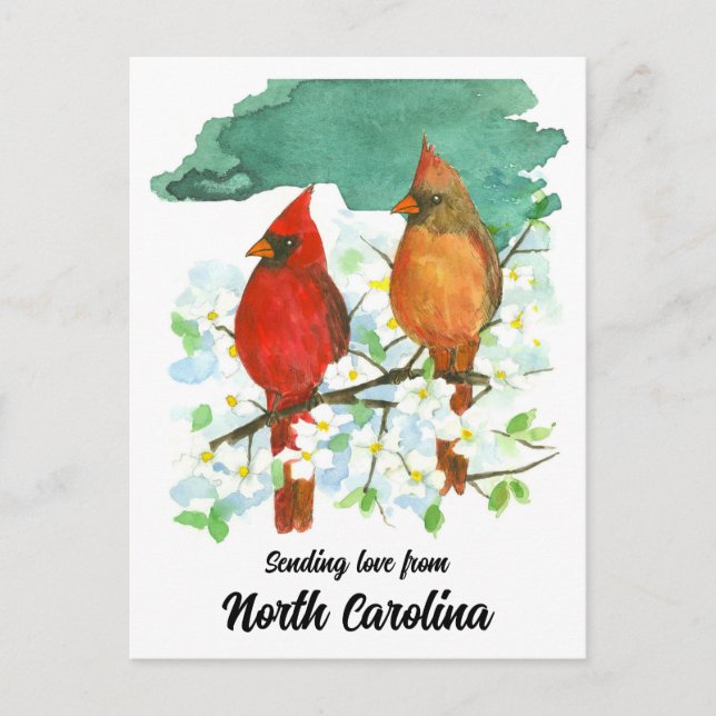 Liebe North Carolina Kardinals Dogwood Postkarte (Vorderseite)