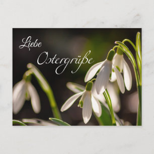 Liebe Ostergrüße aus dem Briefkasten Postkarte
