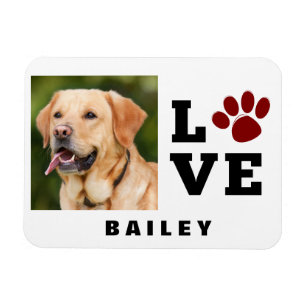 Liebe Paw Print Animal Lover Dog Lover Foto Magnet
