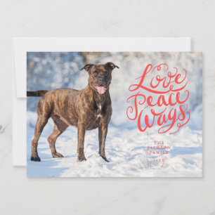 Liebe Peace Wags Red Script Dog Foto Feiertagskarte