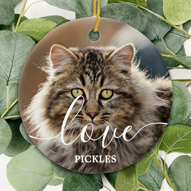 Liebe Personalisiert 2 Foto Cat Pet Memorial Keramik Ornament (Von Creator hochgeladen)