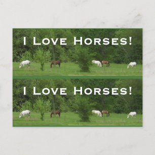 Liebe Pferde! Bookmarkers - Anpassen! Postkarte