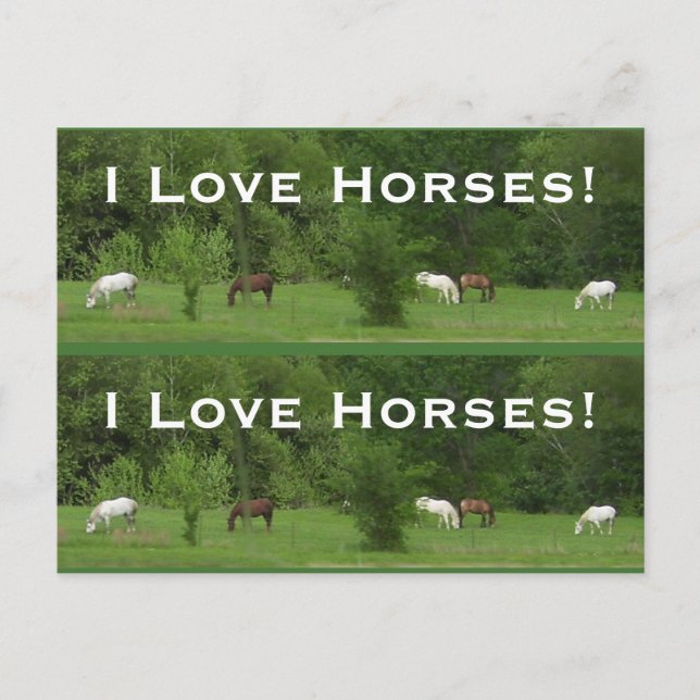 Liebe Pferde! Bookmarkers - Anpassen! Postkarte (Vorderseite)