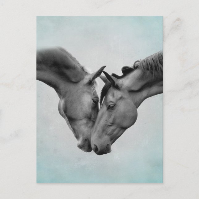 Liebe Pferde Postkarte (Vorderseite)