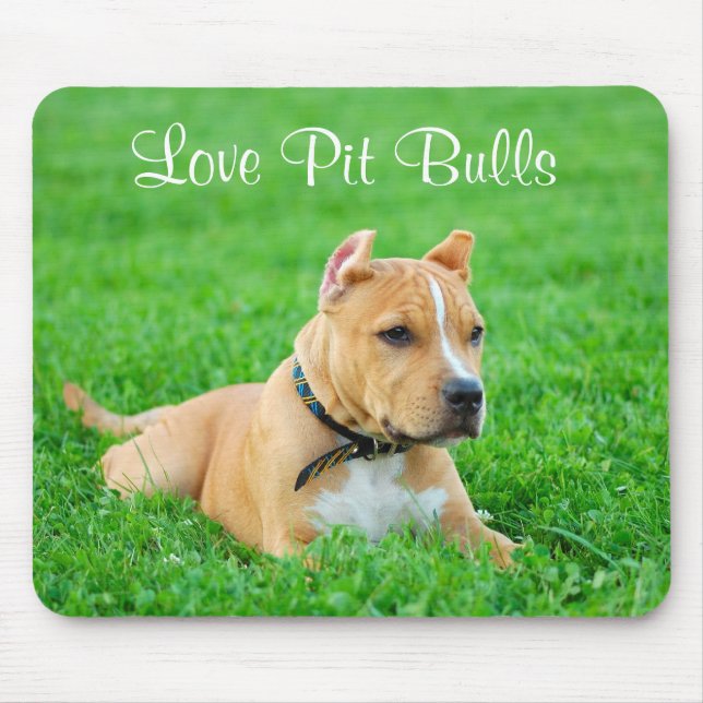 Liebe Pit Bulls Mousepad (Vorne)