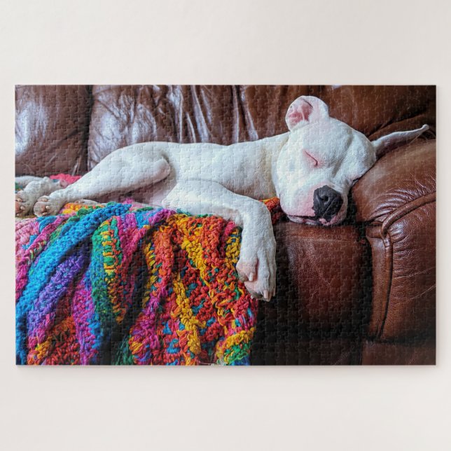 Liebe Pitbull Hund Schlafen auf dem Sofa Puzzle (Horizontal)