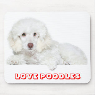 Liebe Poodles Weißer Welpe Hund Mauspad