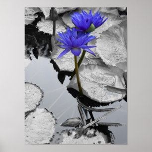 Liebe Poster