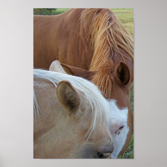 Liebe Poster (Vorne)