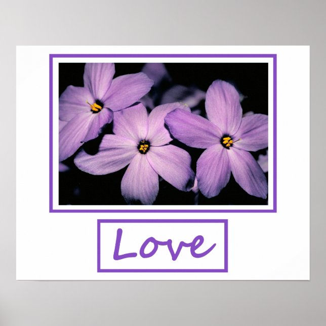 Liebe Poster (Vorne)