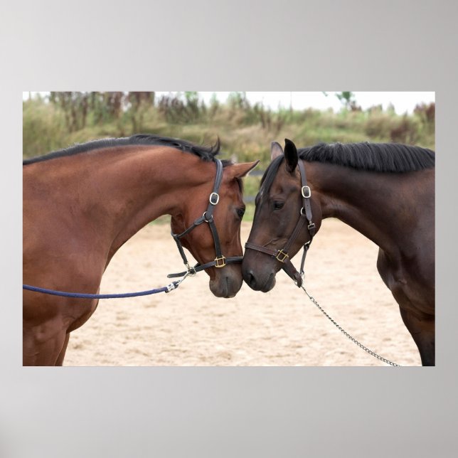 Liebe Poster (Vorne)