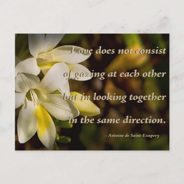 Liebe ... postkarte (Vorderseite)