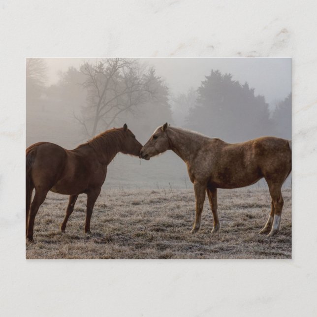 Liebe Postkarte (Vorderseite)