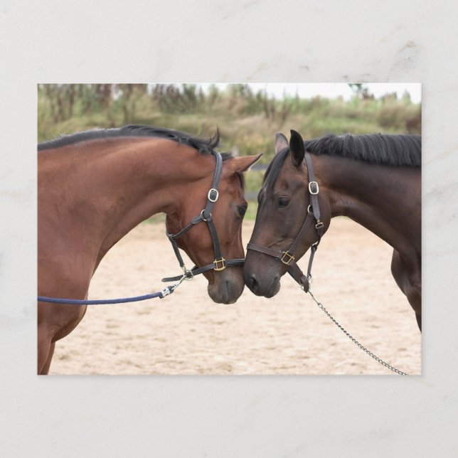 Liebe Postkarte (Vorderseite)