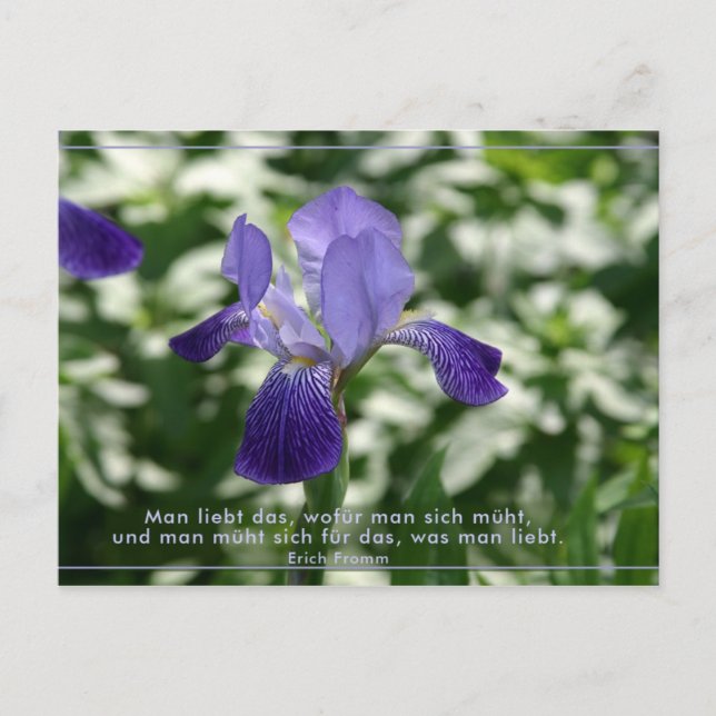 Liebe Postkarte (Vorderseite)