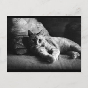 Liebe Postkarte