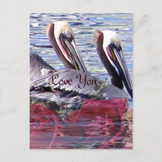 Liebe_ Postkarte (Vorderseite)