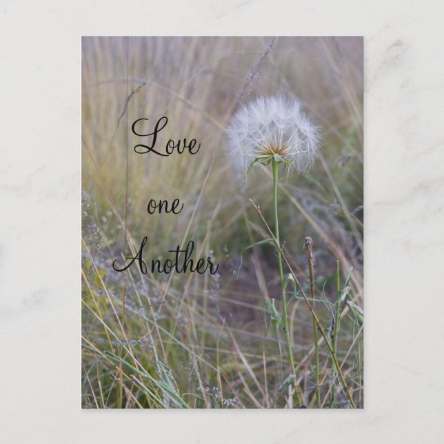 Liebe Postkarte (Vorderseite)
