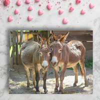 Liebe-Postkarte