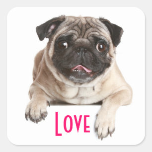 Liebe Pug Welpenhund Gruß Aufkleber