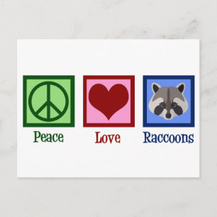 Liebe Raccoons Postkarte