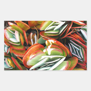 Liebe_ Rechteckiger Aufkleber