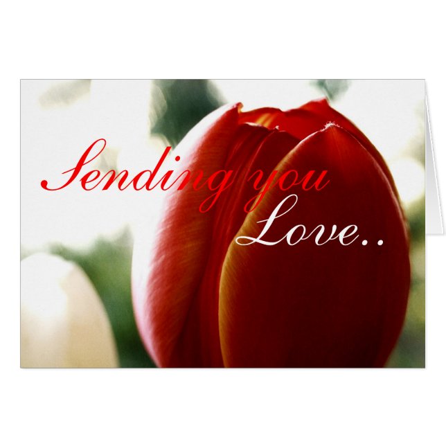 Liebe Red Tulip Card (Vorderseite (Horizontal))
