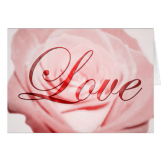 Liebe: Rosa Blume:
