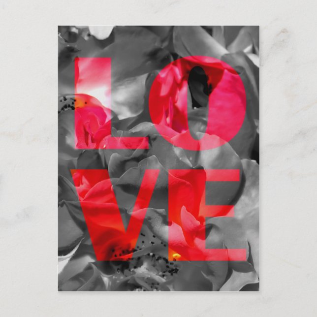 Liebe Rose Postkarte (Vorderseite)