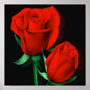 Liebe Rote Rose Schwarz Poster