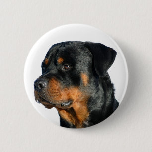 Liebe Rottweiler Black & Brown Puppy-Hund-Button Button