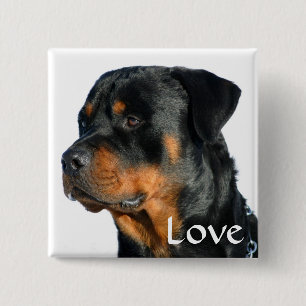 Liebe Rottweiler Black & Brown Puppy-Hund-Button Button