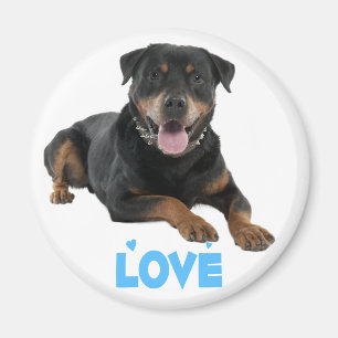 Liebe Rottweiler Braun & Schwarz Welpen Hund Carto Magnet