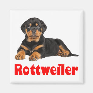 Liebe Rottweiler Brown & Black Puppy Hund Cartoon Magnet