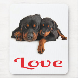 Liebe Rottweiler Welpe Hund Weiße Mauspad